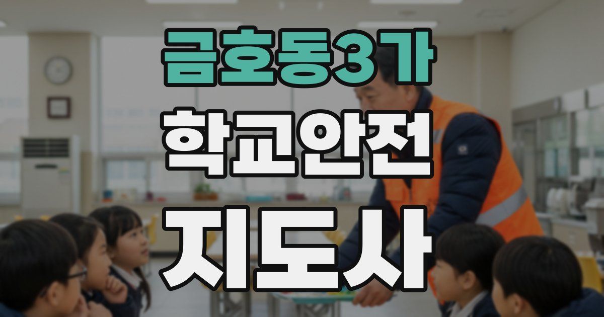 금호동3가 학교안전지도사 자격증