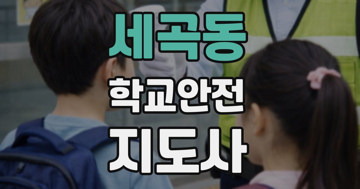세곡동 학교안전지도사 자격증