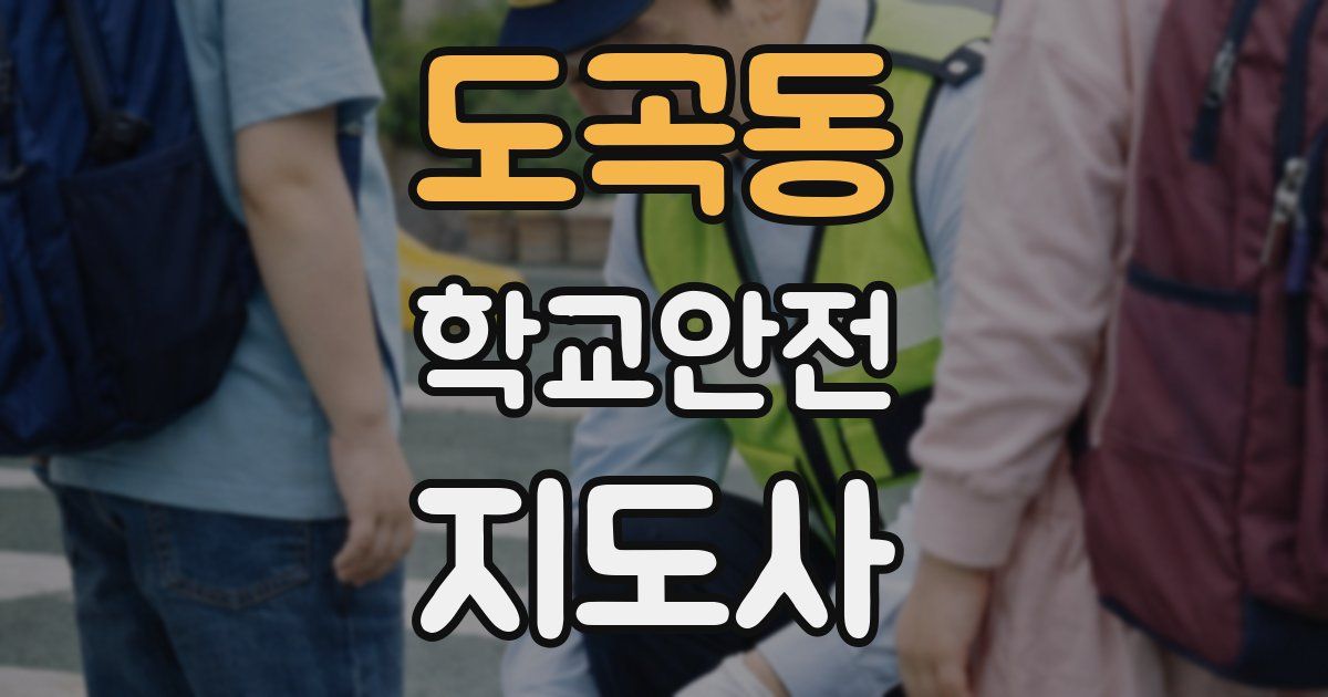 도곡동 학교안전지도사 자격증
