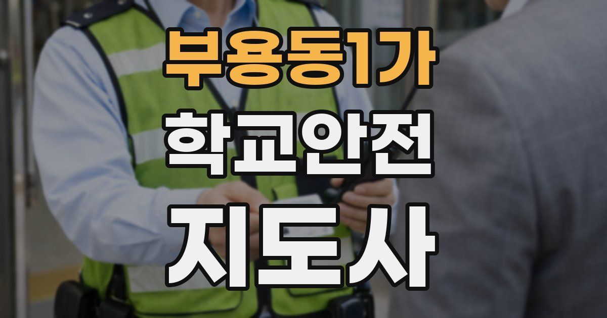 부용동1가 학교안전지도사 자격증
