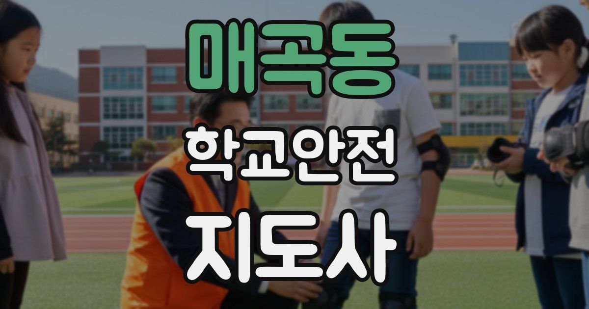 매곡동 학교안전지도사 자격증