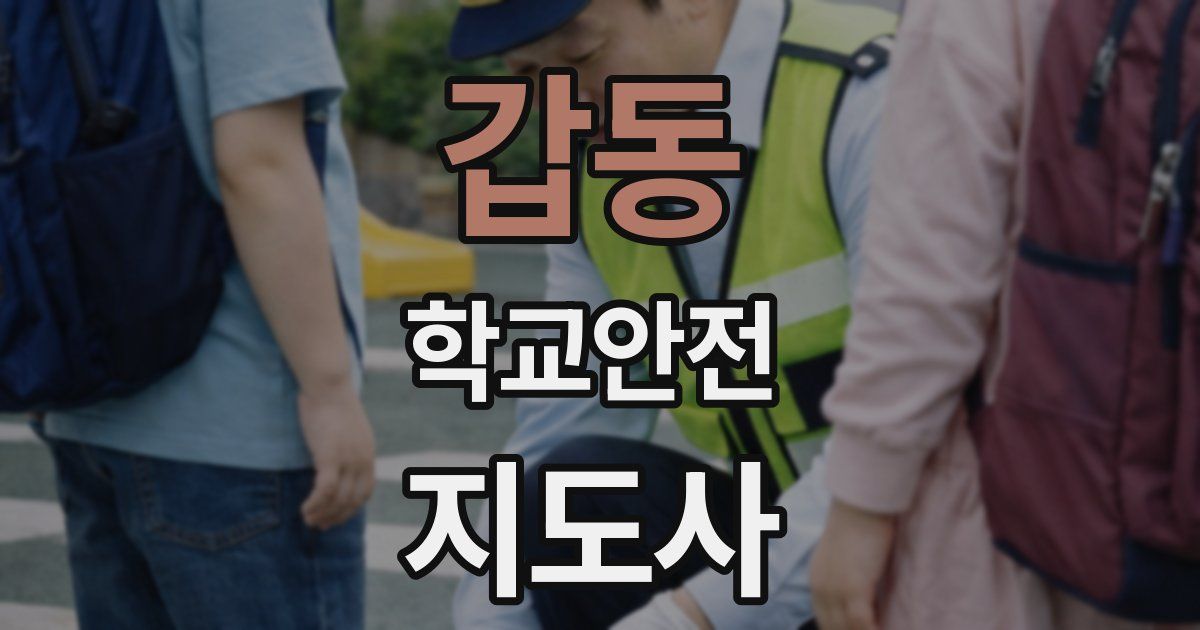 갑동 학교안전지도사 자격증