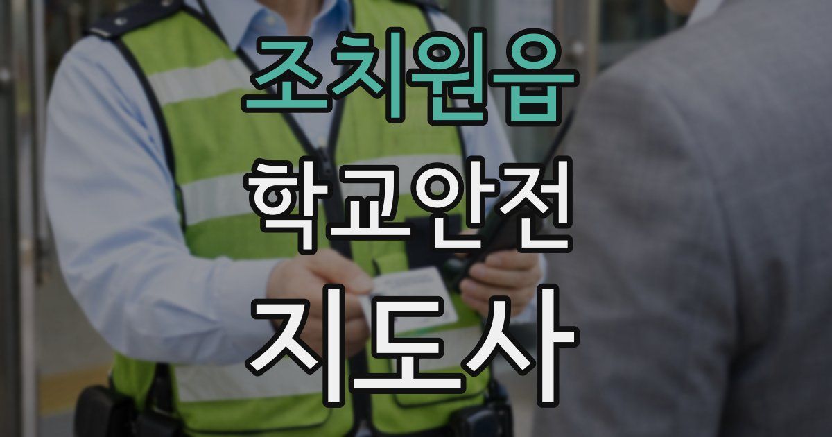 조치원읍 학교안전지도사 자격증