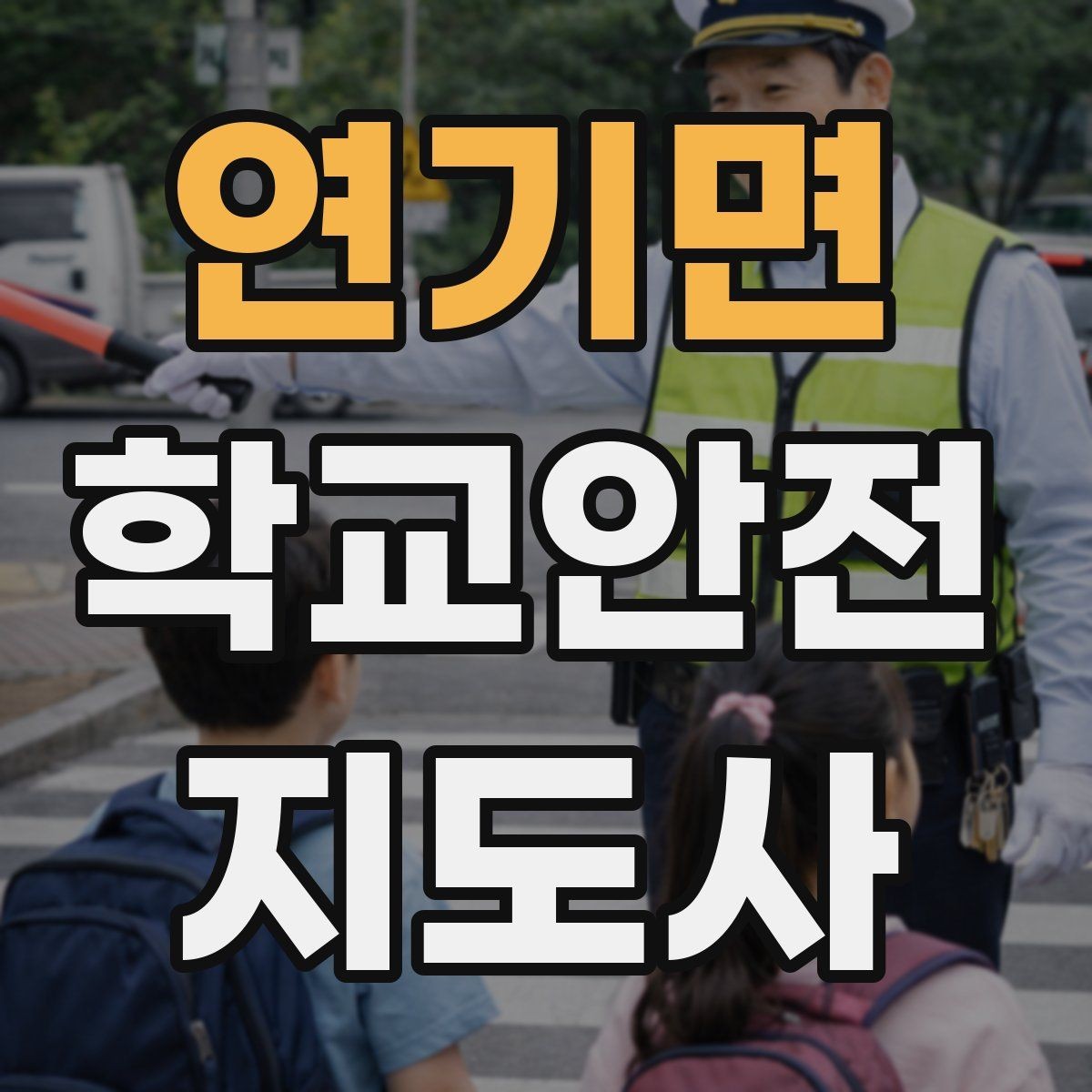 연기면 학교안전지도사 자격증 미세먼지 심한 날 활동 조정 기준