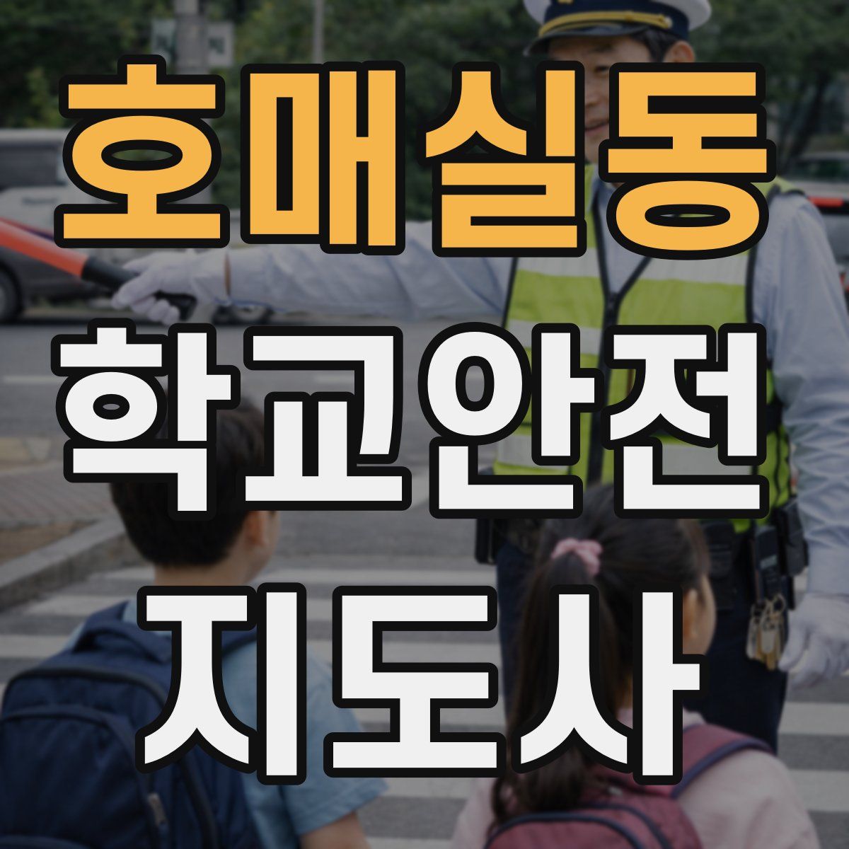 호매실동 학교안전지도사 자격증