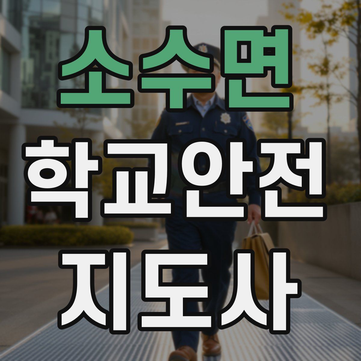 소수면 학교안전지도사 자격증
