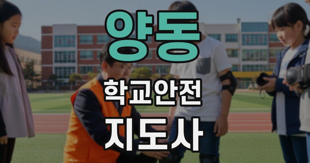 양동 학교안전지도사 자격증