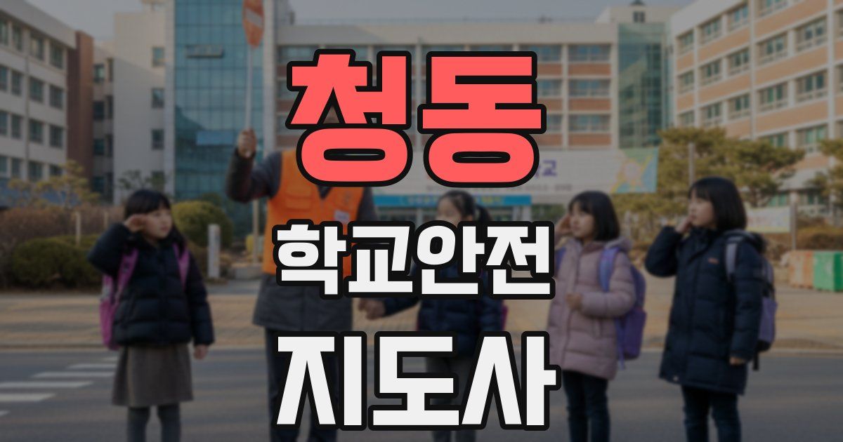 청동 학교안전지도사 자격증