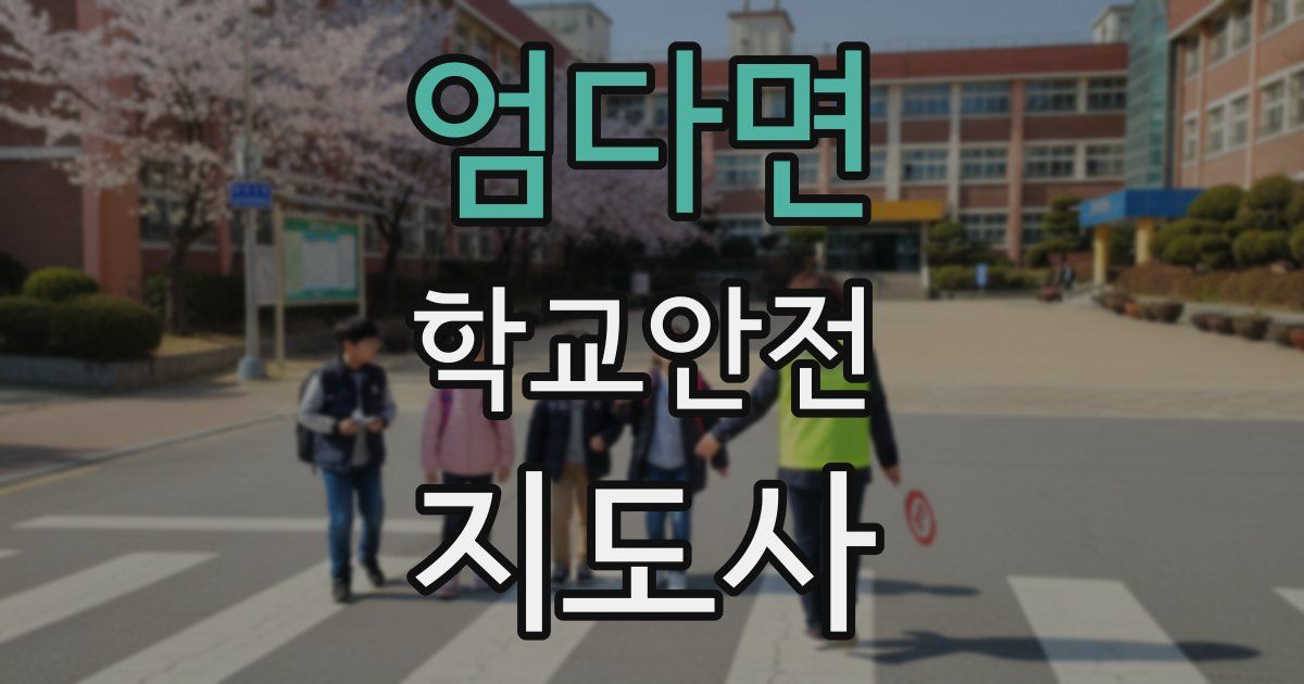 엄다면 학교안전지도사 자격증