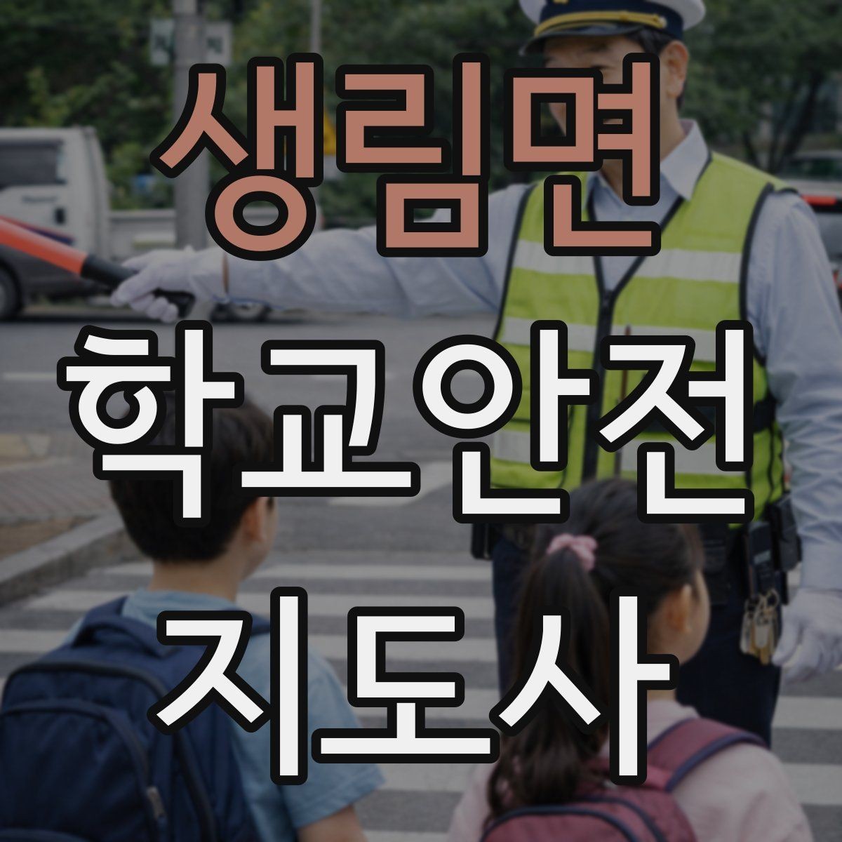 생림면 학교안전지도사 자격증 스쿨존에서 자주 발생하는 위험