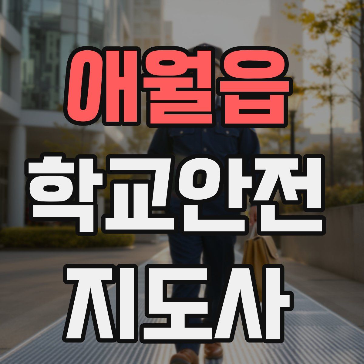 애월읍 학교안전지도사 자격증