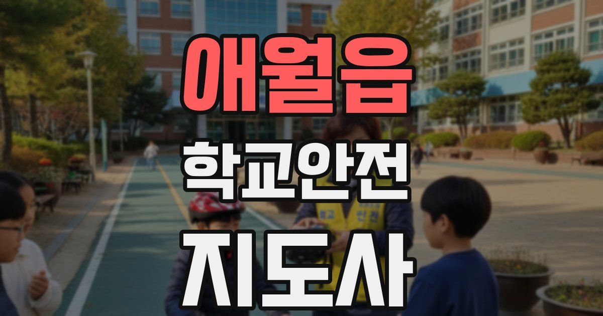 애월읍 학교안전지도사 자격증