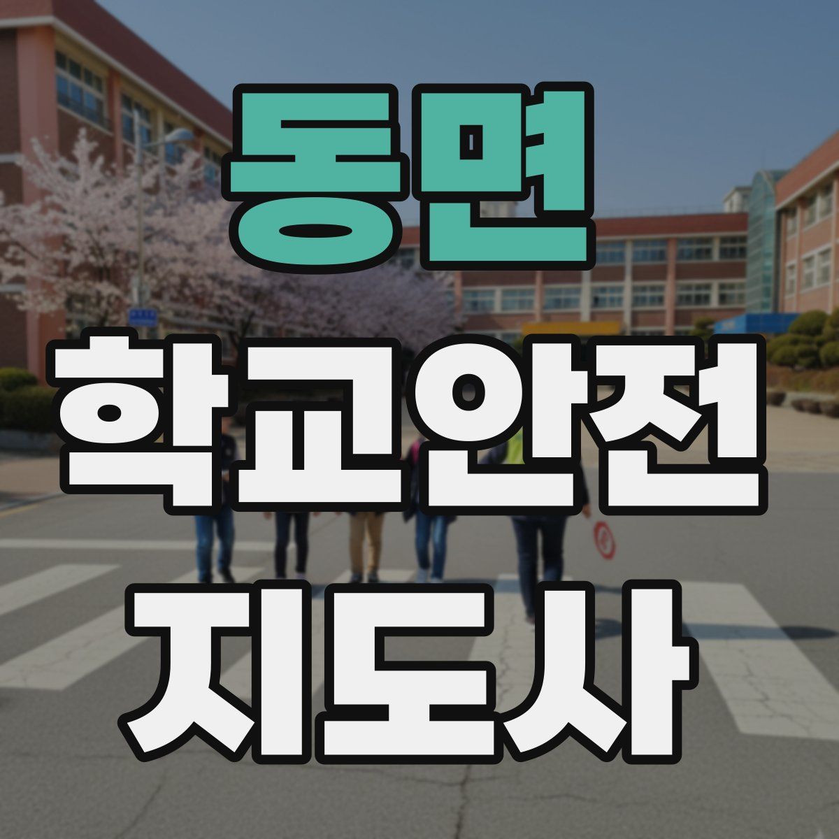 동면 학교안전지도사 자격증