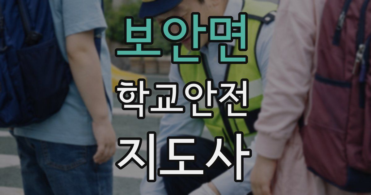 보안면 학교안전지도사 자격증