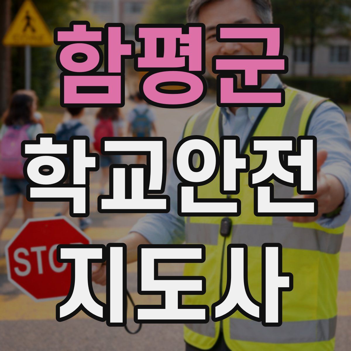 함평군 학교안전지도사 자격증