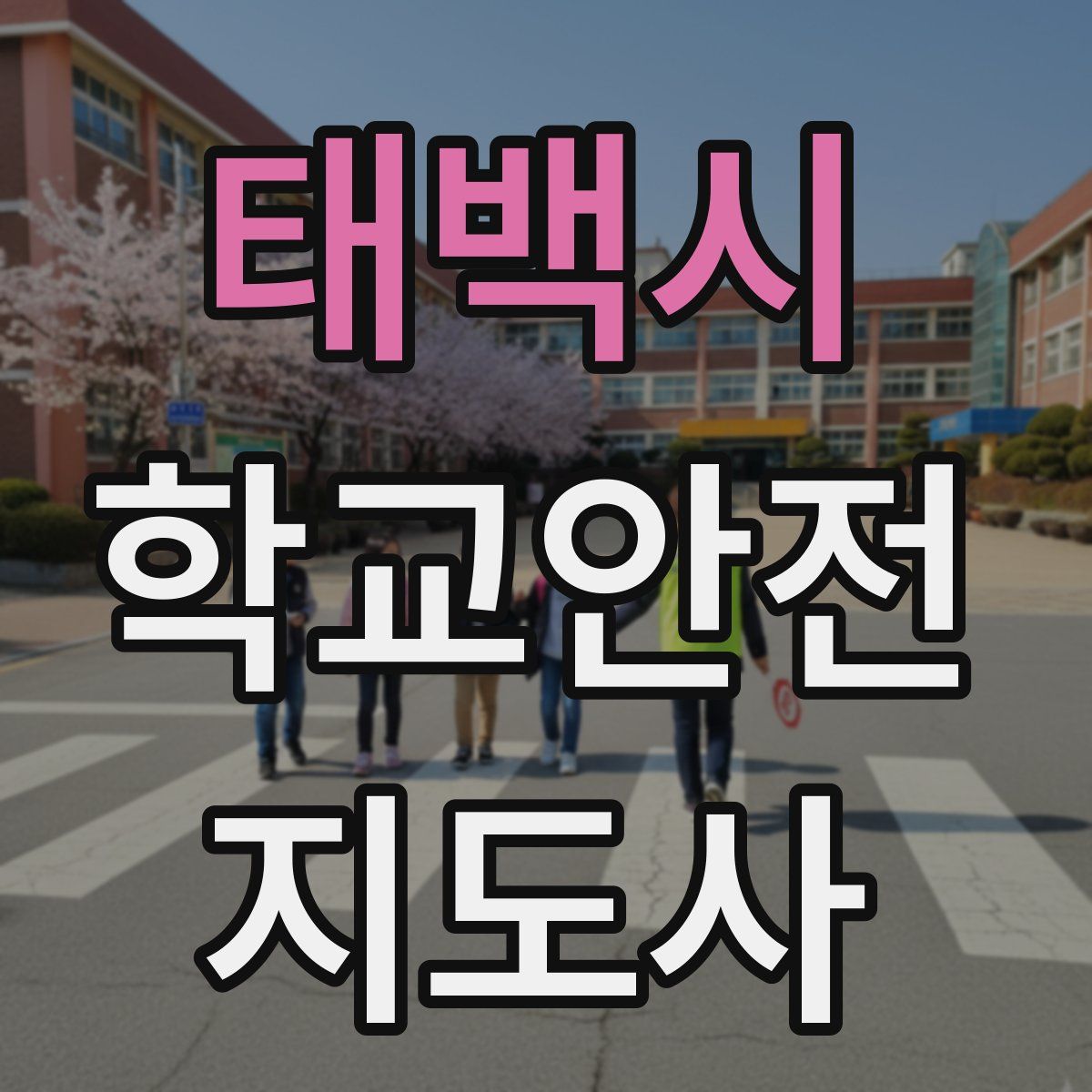 태백시 학교안전지도사 자격증