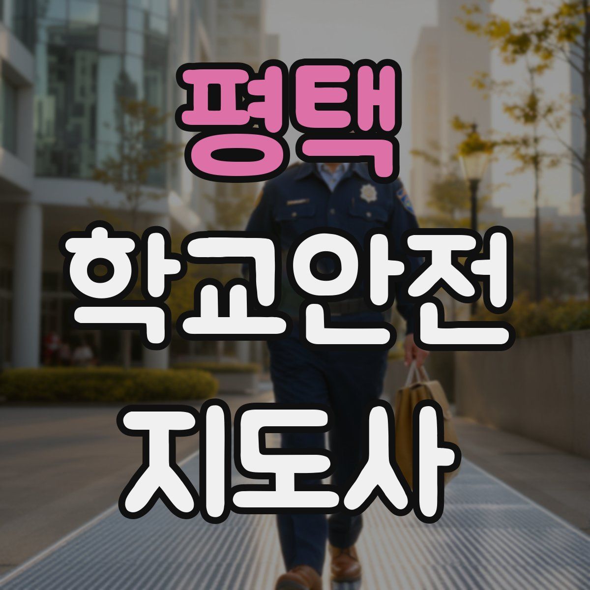 평택 학교안전지도사 자격증