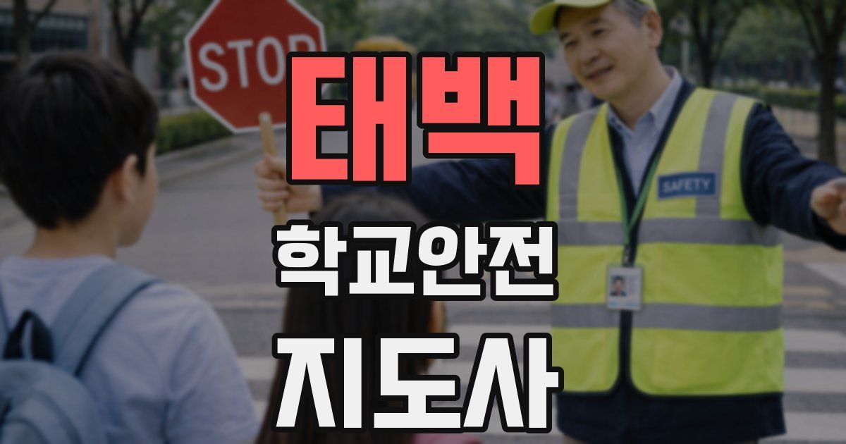 태백 학교안전지도사 자격증