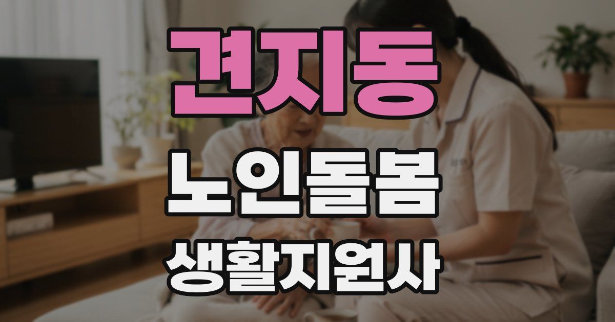견지동 노인돌봄생활지원사 자격증