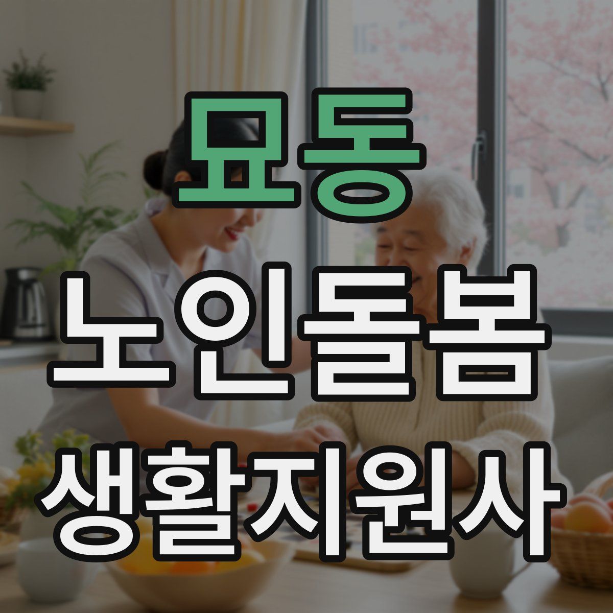 묘동 노인돌봄생활지원사 자격증