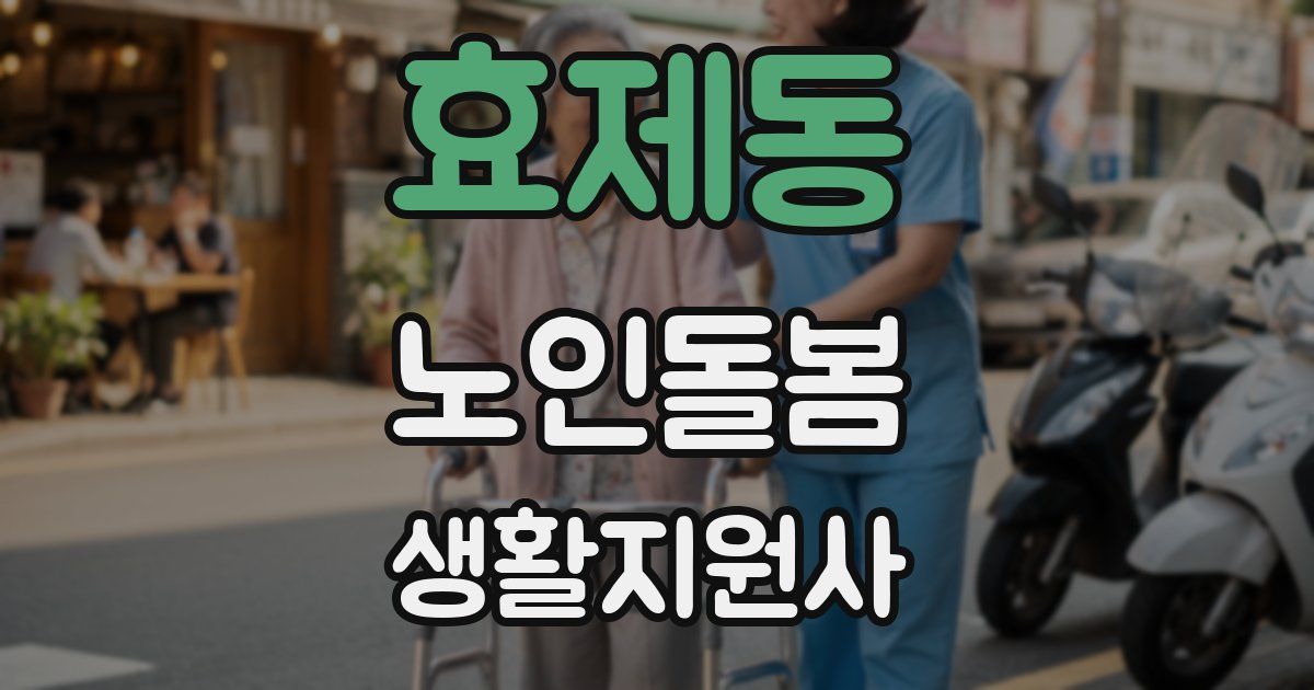 효제동 노인돌봄생활지원사 자격증