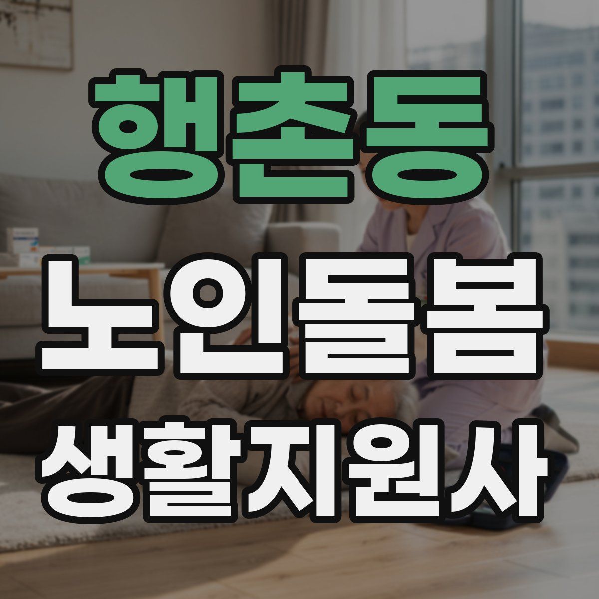 행촌동 노인돌봄생활지원사 자격증