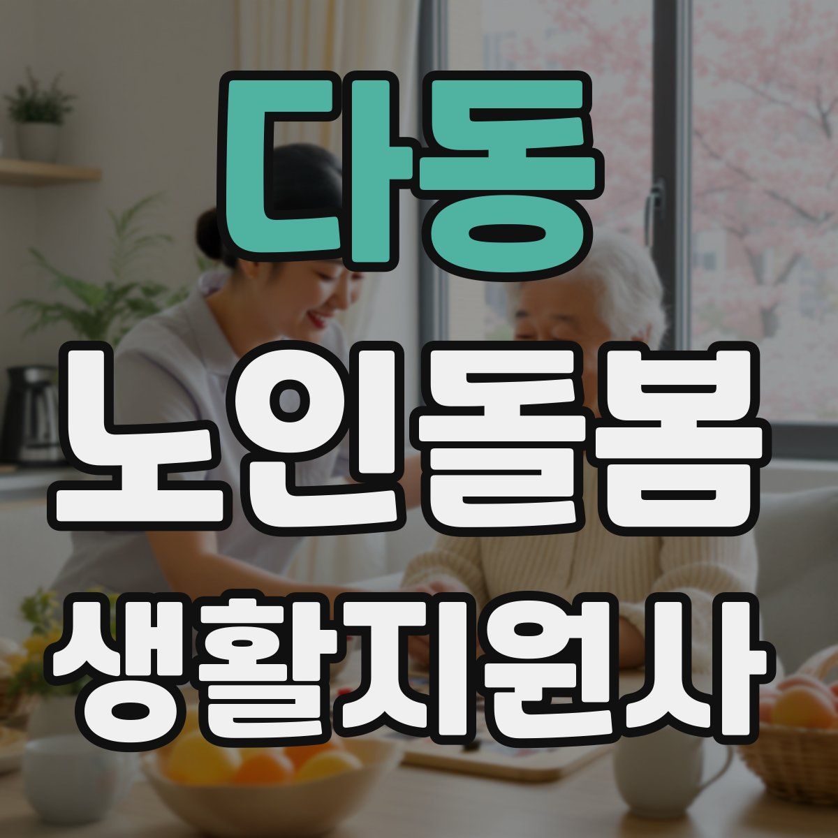 다동 노인돌봄생활지원사 자격증