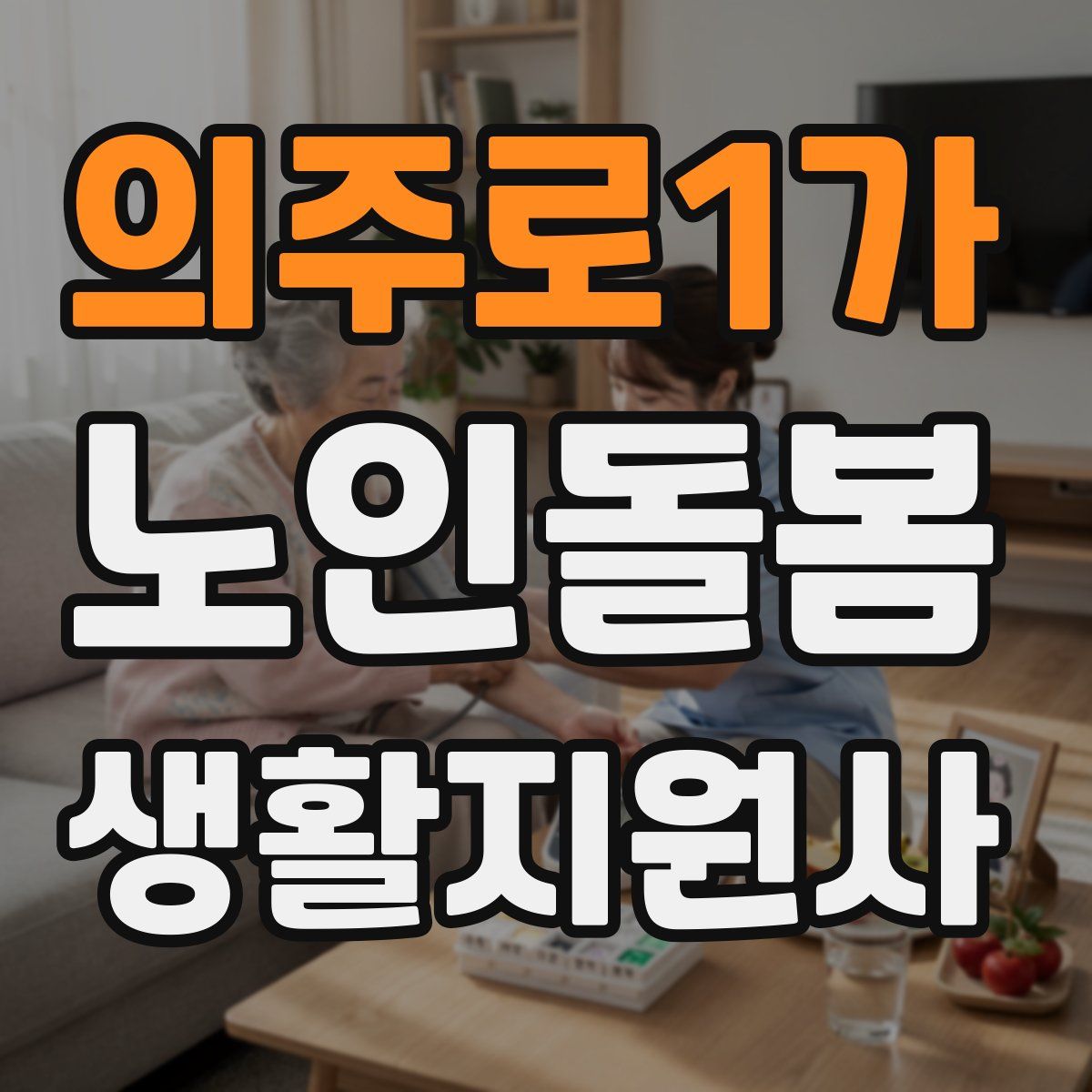 의주로1가 노인돌봄생활지원사 자격증