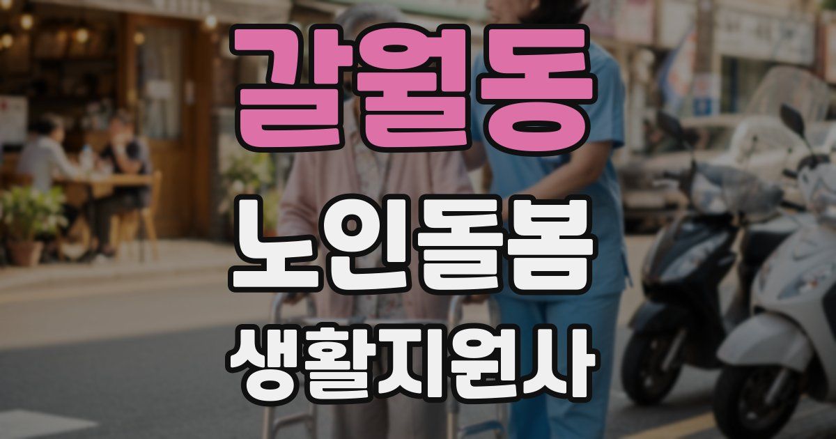 갈월동 노인돌봄생활지원사 자격증