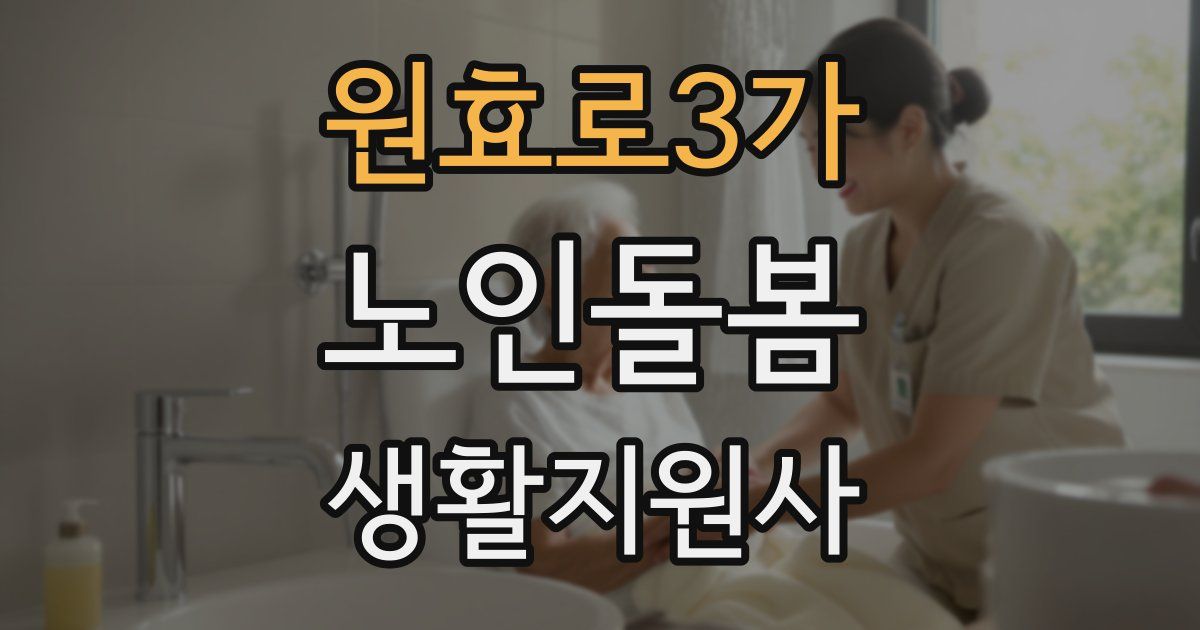 원효로3가 노인돌봄생활지원사 자격증