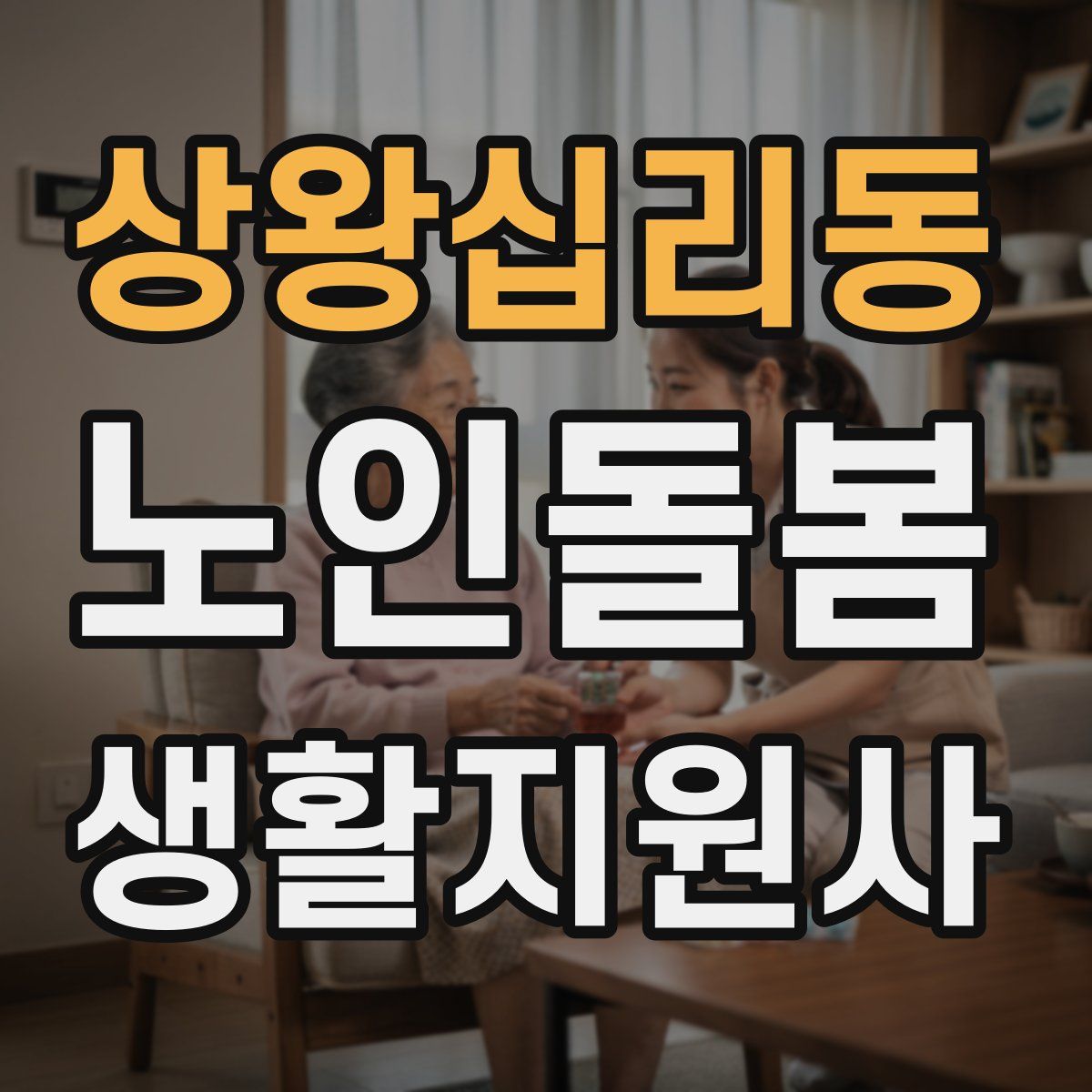 상왕십리동 노인돌봄생활지원사 자격증