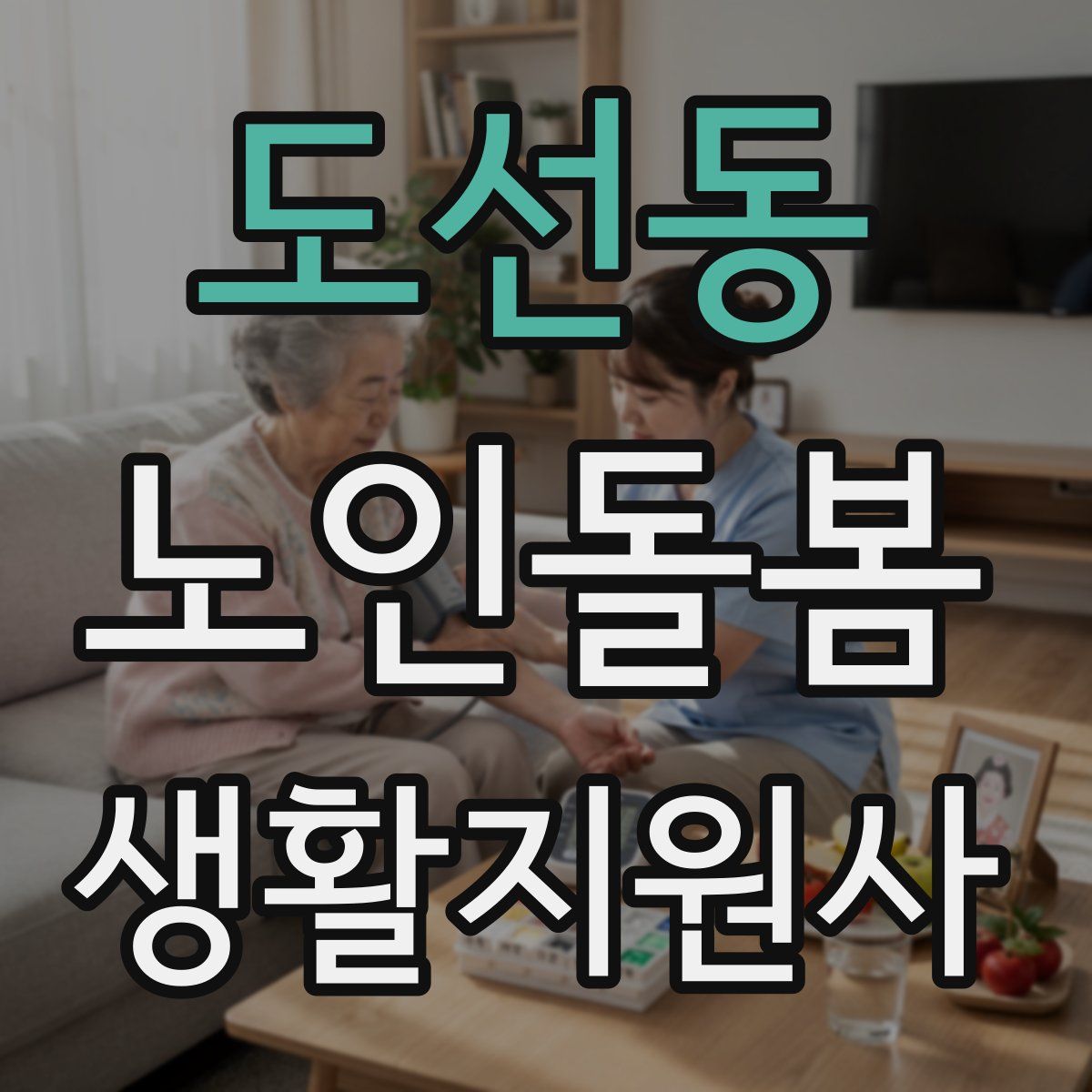 도선동 노인돌봄생활지원사 자격증