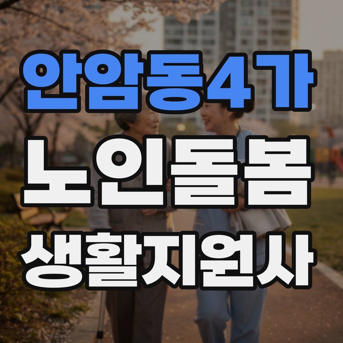 안암동4가 노인돌봄생활지원사 자격증