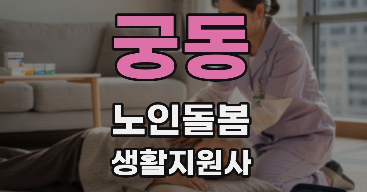 궁동 노인돌봄생활지원사 자격증