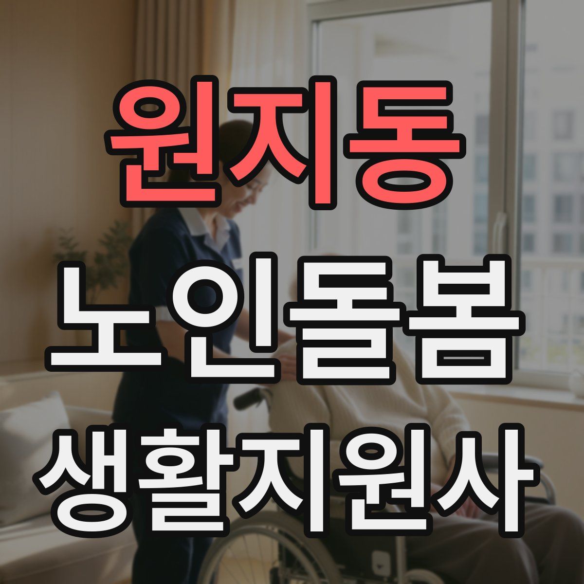 원지동 노인돌봄생활지원사 자격증