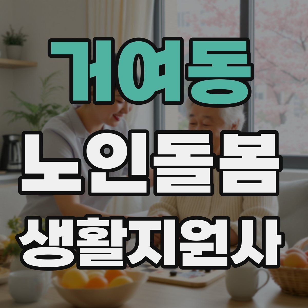 거여동 노인돌봄생활지원사 자격증 복약 정보를 확인하는 방법 정리
