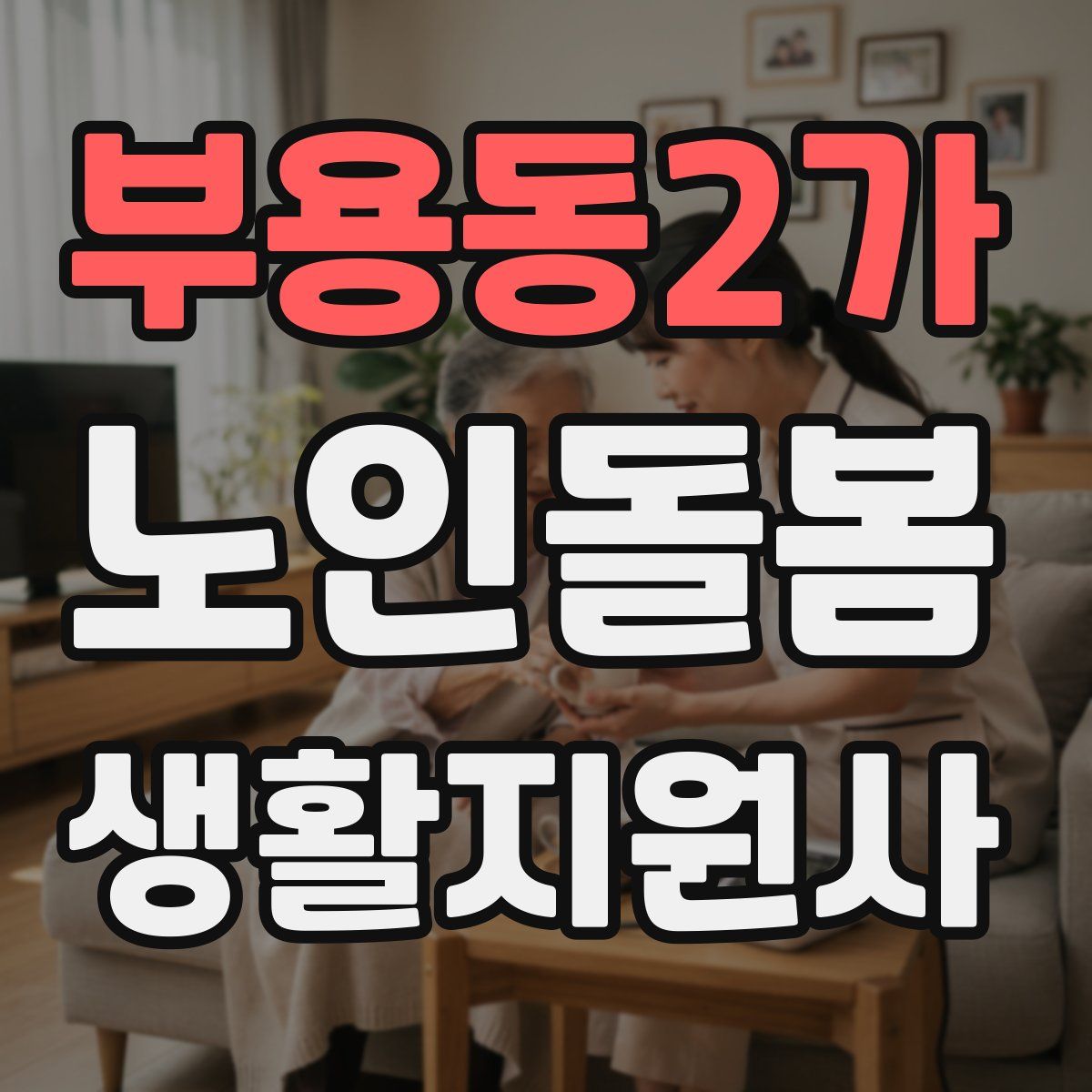 부용동2가 노인돌봄생활지원사 자격증