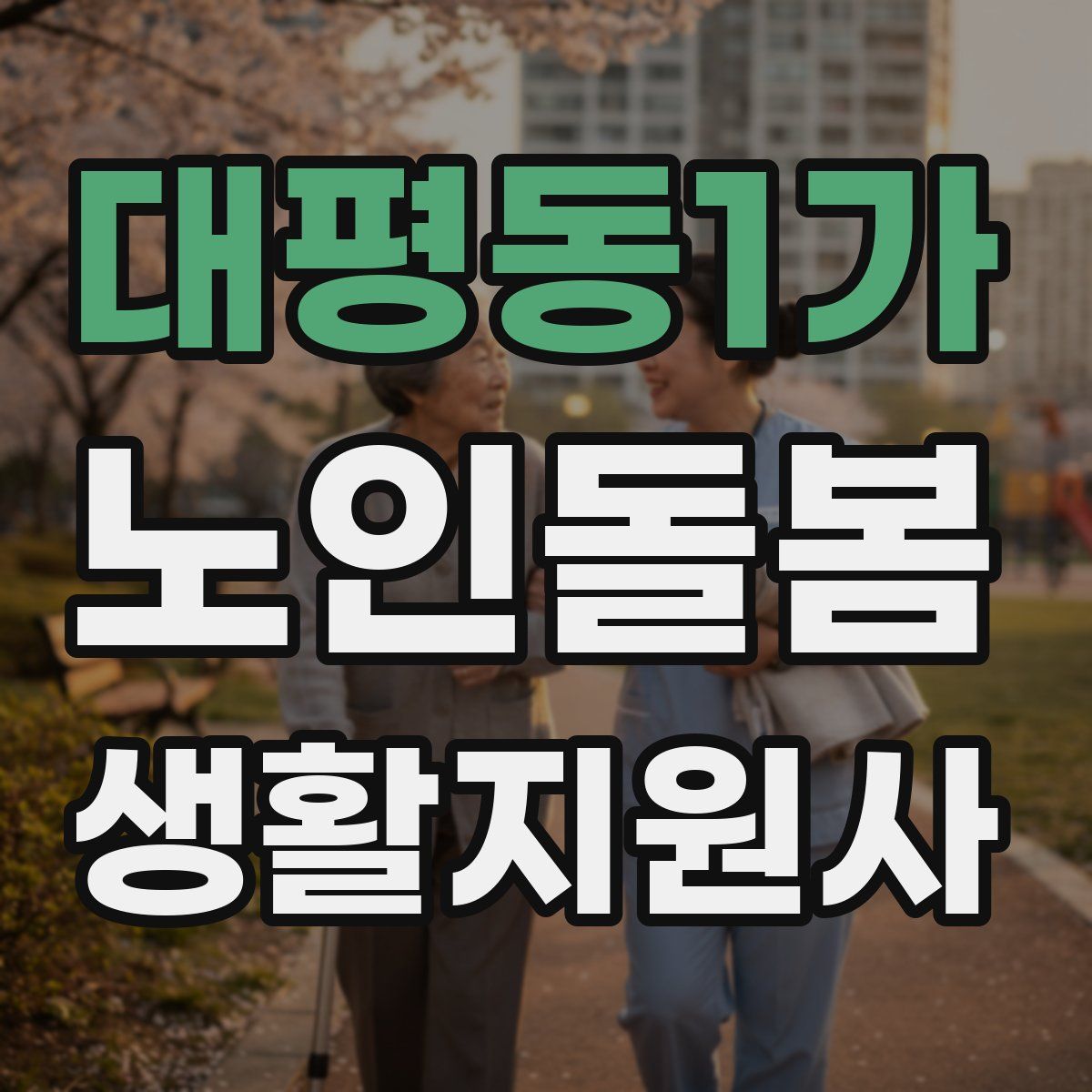 대평동1가 노인돌봄생활지원사 자격증