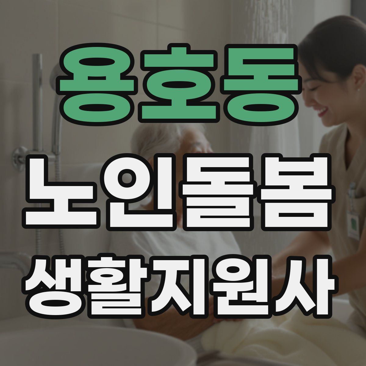 용호동 노인돌봄생활지원사 자격증