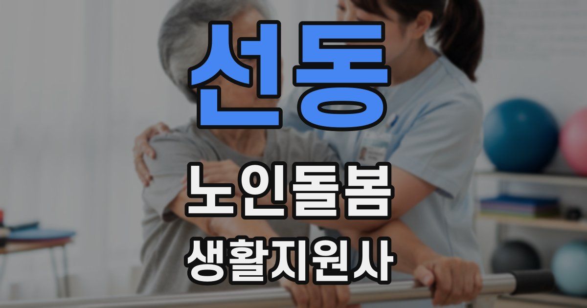 선동 노인돌봄생활지원사 자격증