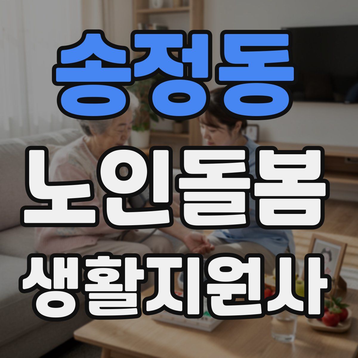 송정동 노인돌봄생활지원사 자격증