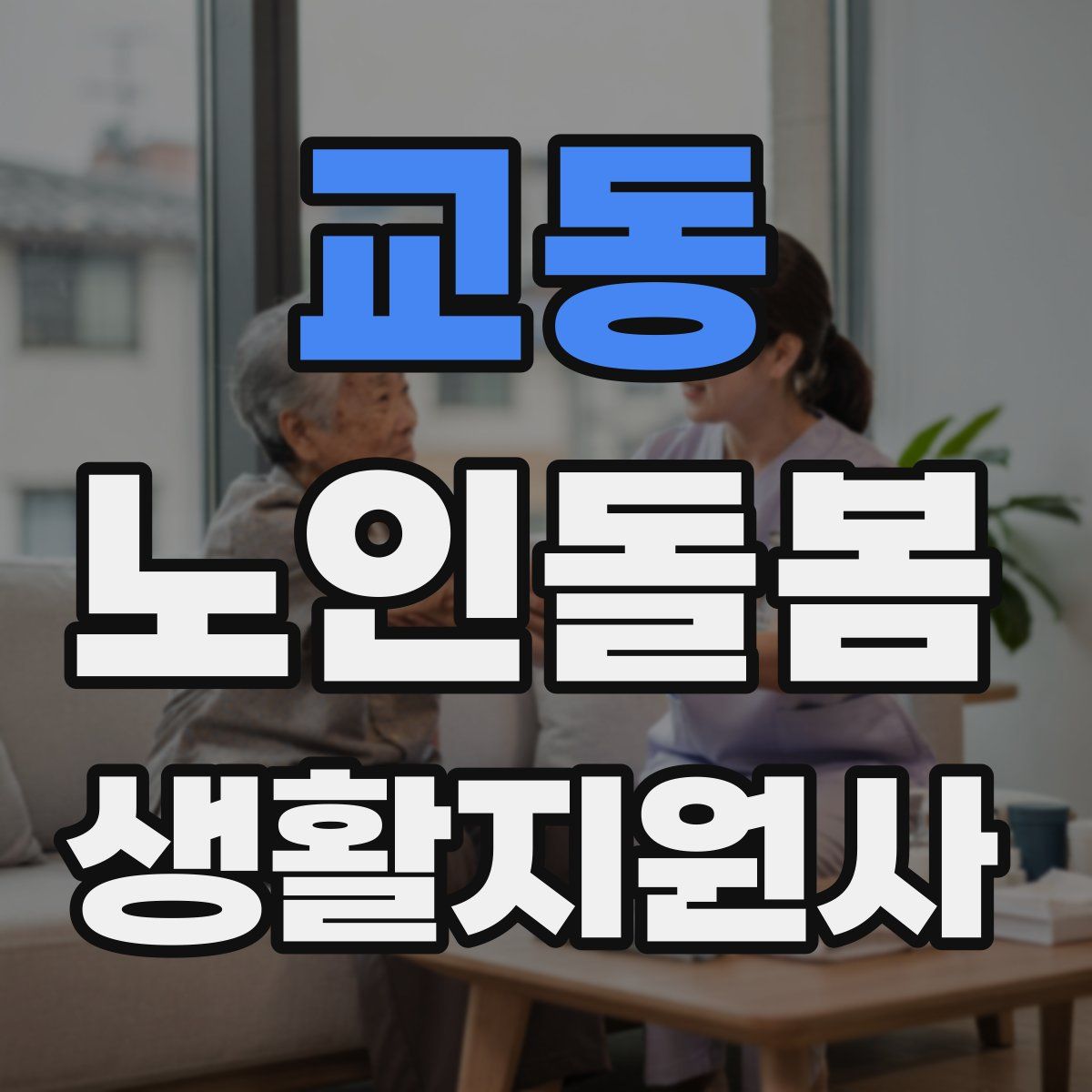 교동 노인돌봄생활지원사 자격증