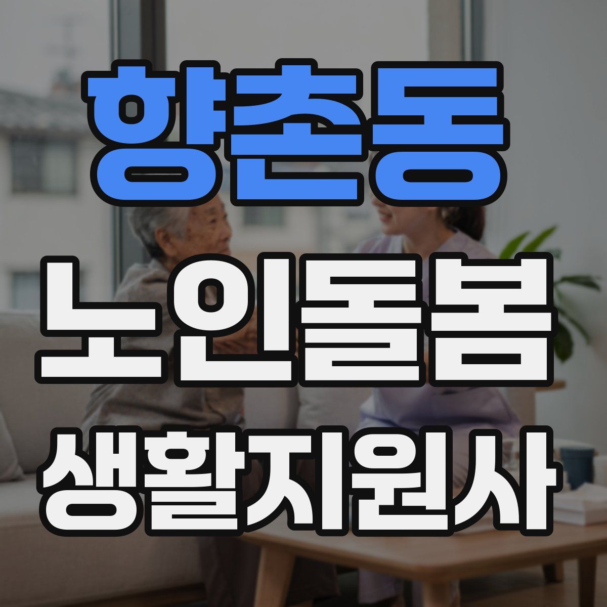향촌동 노인돌봄생활지원사 자격증
