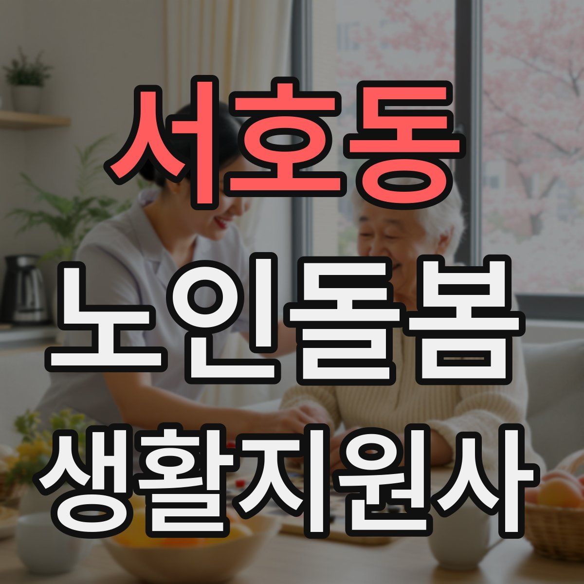 서호동 노인돌봄생활지원사 자격증