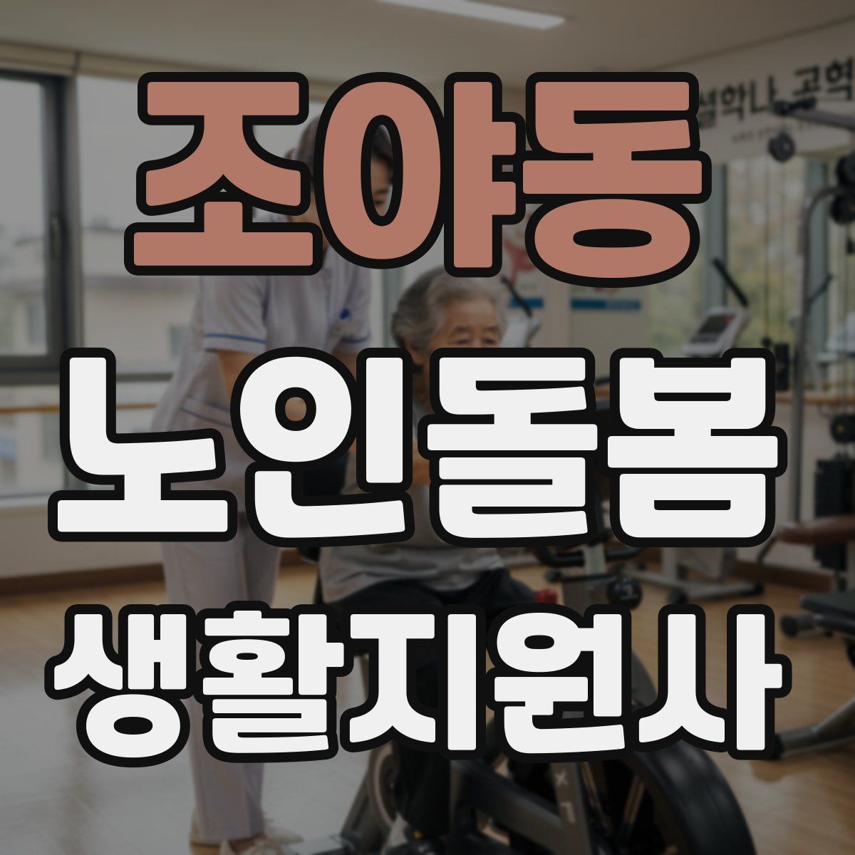 조야동 노인돌봄생활지원사 자격증