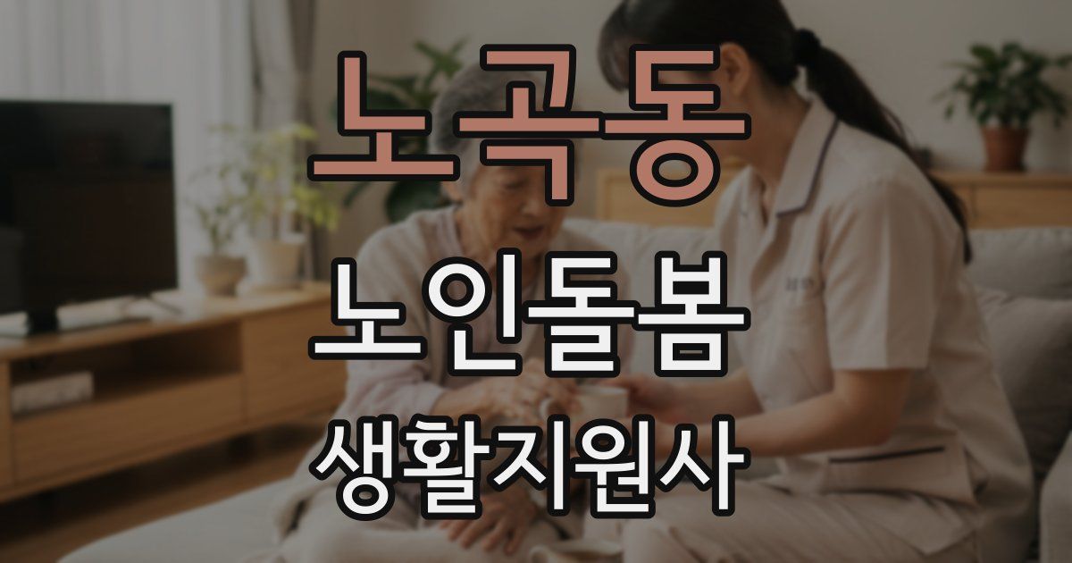 노곡동 노인돌봄생활지원사 자격증