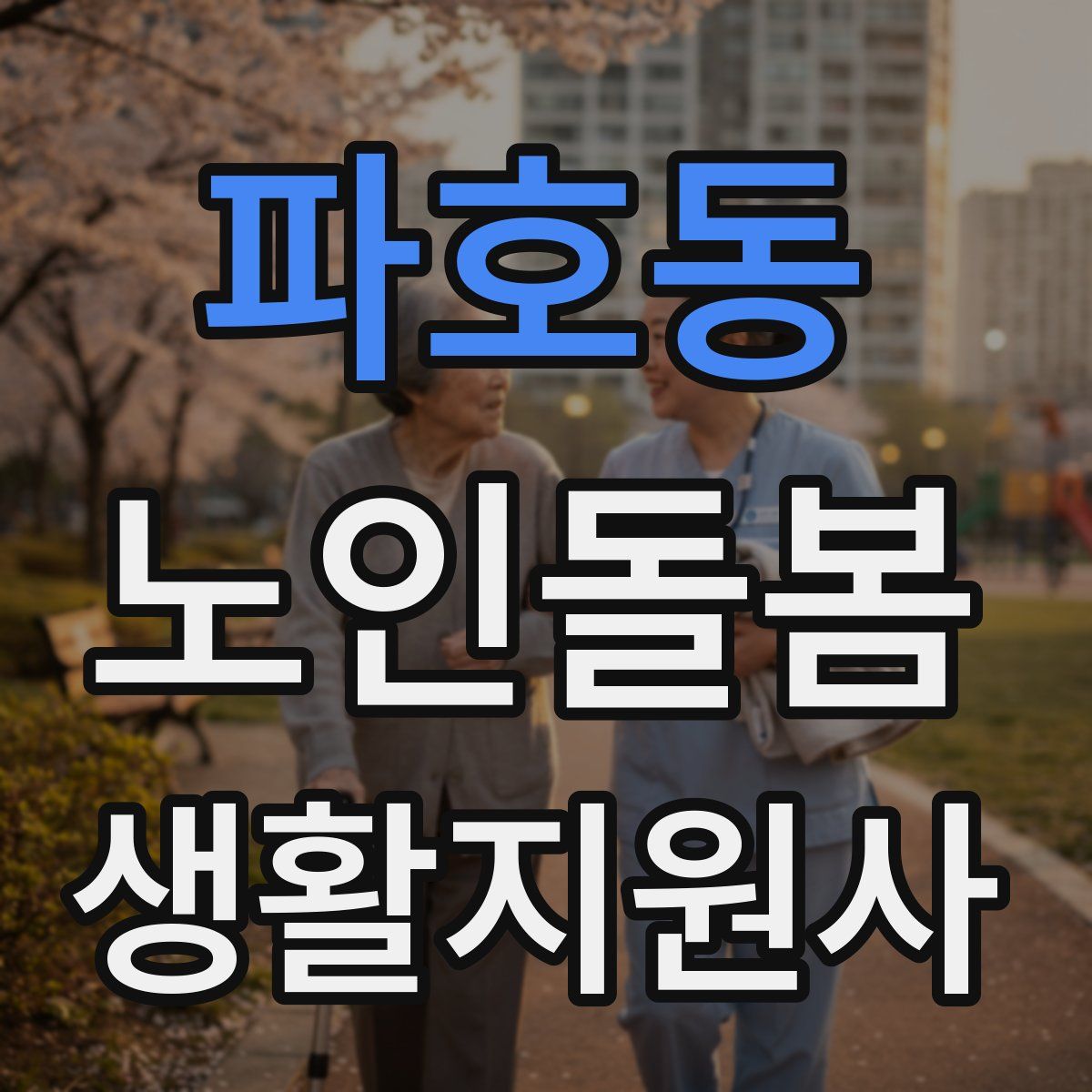 파호동 노인돌봄생활지원사 자격증