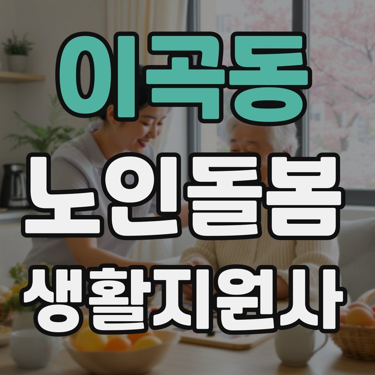 이곡동 노인돌봄생활지원사 자격증
