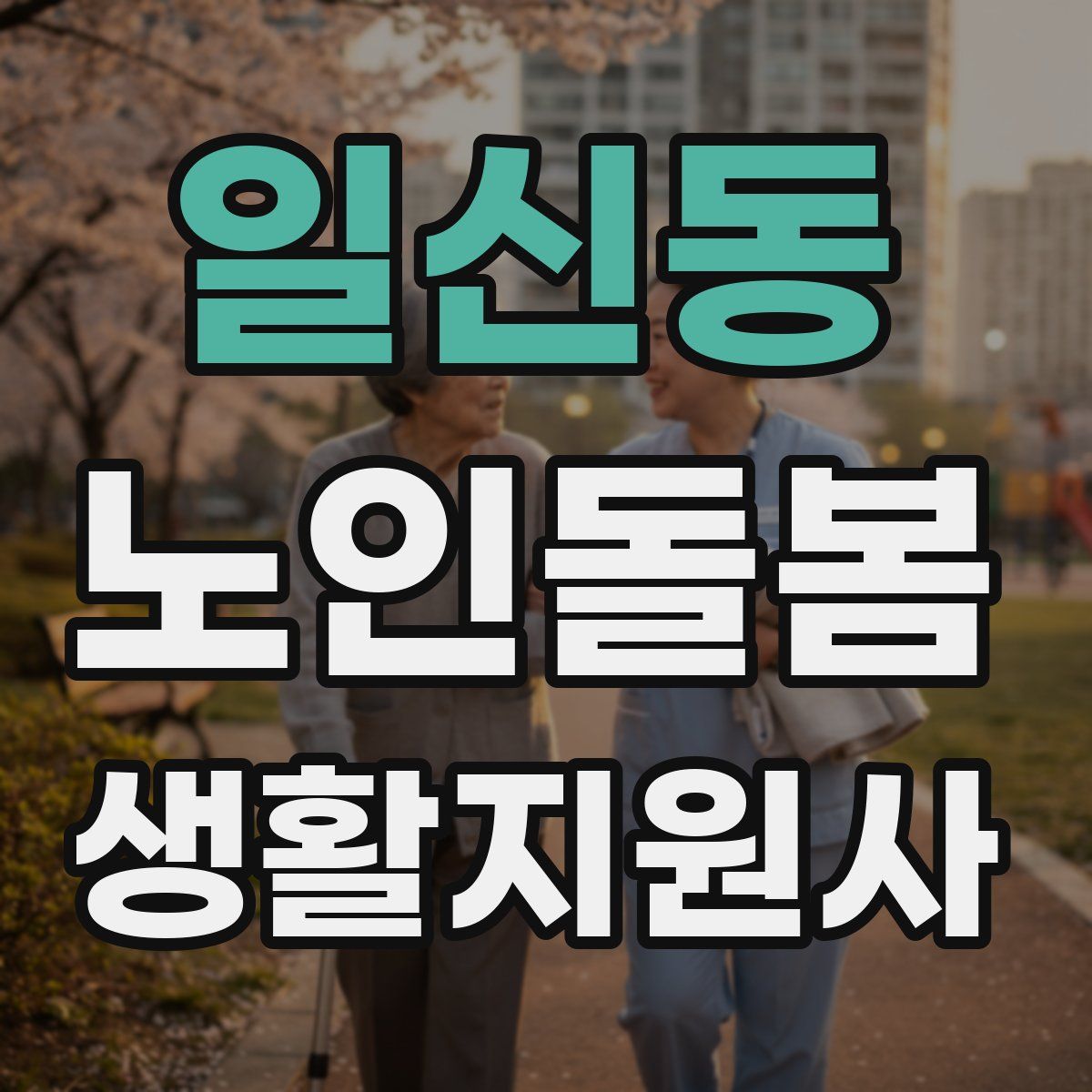 일신동 노인돌봄생활지원사 자격증