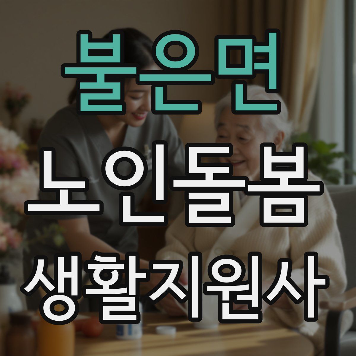 불은면 노인돌봄생활지원사 자격증